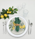 Citrus Garden Grove